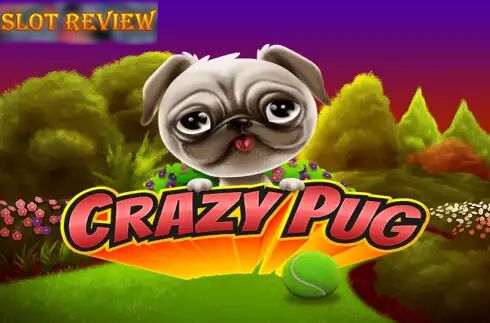 Crazy Pug icon